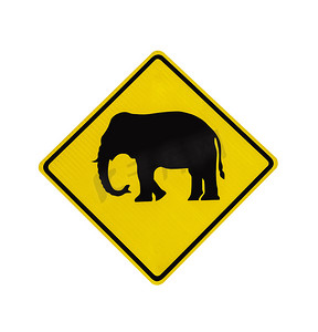 孤立的大象过马路标志