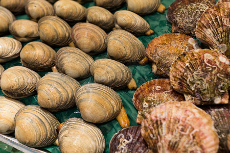 新鲜的蛤蜊和扇贝在鱼市场上卖