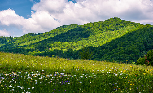 农村大山风景摄影照片_山区农村的草地