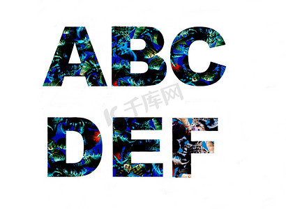 字母表装饰字体覆盖了棕榈叶和贝壳拍拍