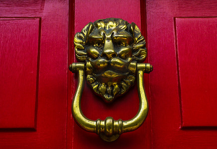 带有狮子头形状黄铜门环的门，很漂亮