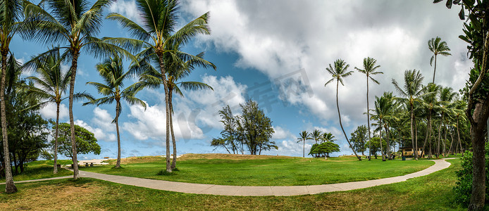 夏威夷的草地