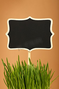 春天的绿草和棕色的黑色标志
