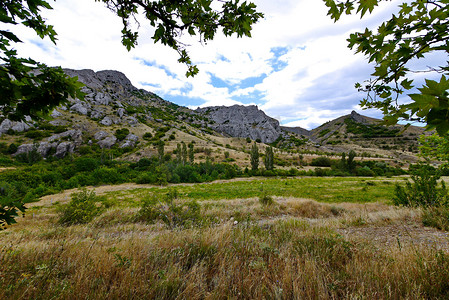 美丽的自然景观，绿色的山谷和山坡上点缀着石头