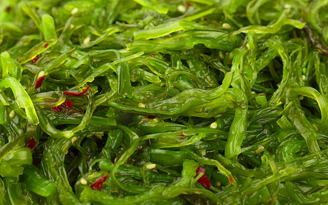 背景大海摄影照片_关闭绿色裙带菜海藻沙拉的背景