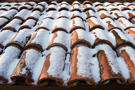 岭南新天地摄影照片_棕色的瓷砖略微覆盖着雪