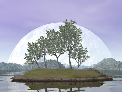 平滑的有叶榆树盆景树 — 3D渲染