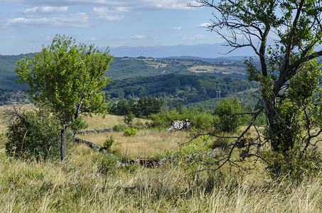 荒野山林摄影照片_维托沙山的空地、绿色山林和荒野全景