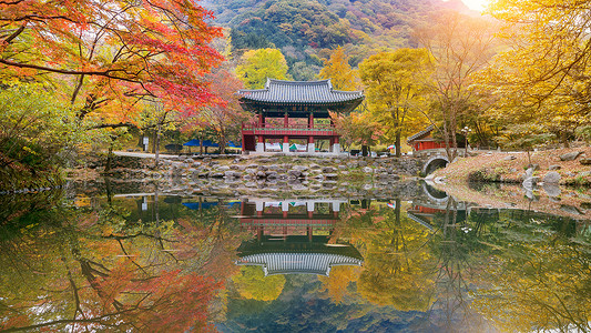 防城港江山半岛摄影照片_秋天的 Baekyangsa 寺，韩国的 Naejangsan 公园。