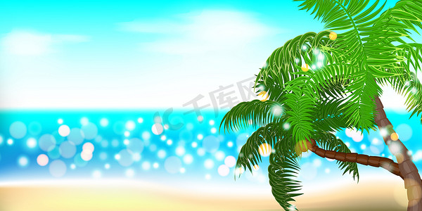 夏时海滨棕榈风景