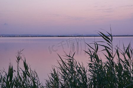 大湖夕阳，从芦苇丛中，