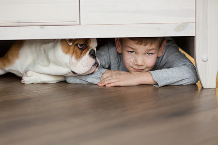 男孩和狗玩耍摄影照片_可爱的男孩和英国斗牛犬的小狗在地毯上的地板上玩耍