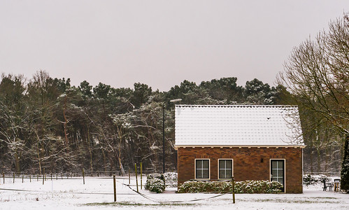 冬季下雪房子摄影照片_冬季风景中的小农舍、农田和被雪覆盖的房子，住在森林附近