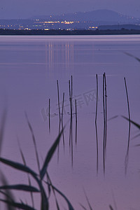 大湖夕阳，从芦苇丛中，