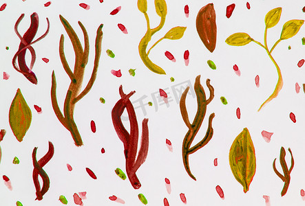 写意树枝摄影照片_植物元素的水彩插图集-棕色、黄色、绿色植物草、树叶、白色背景的树枝