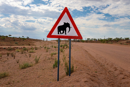在纳米比亚沙漠放置的大象横穿警告路标