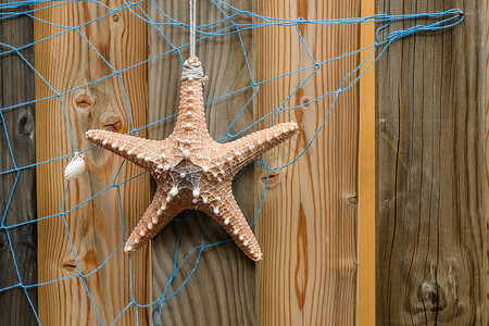 海星图案摄影照片_风化木板上带海星和蓝网的海星背景、设计和装饰