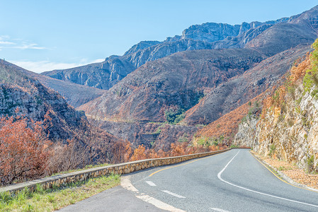 Tradouw 山口烧焦的山边