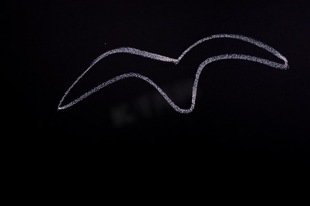粉笔画摄影照片_黑板上用粉笔画的鸟