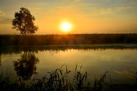 河边和树边的夏日日出照片