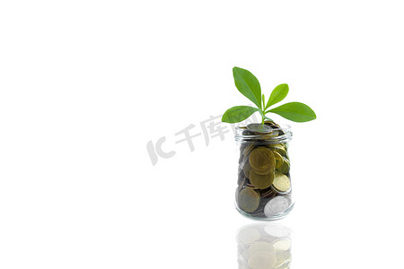 硬币和瓶装植物，商业投资储蓄理念。 