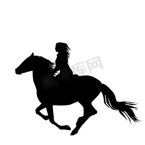 女骑手的黑色剪影一匹奔马
