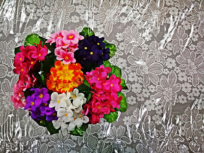 办公桌装饰用塑料花的多色