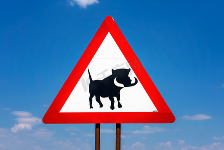 疣猪横穿警告路标