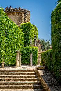 皇家花摄影照片_阿尔卡皇家花园花园中装饰精美的台阶