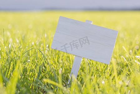 白背景图片摄影照片_阳光明媚的草地上的白盘子