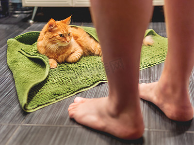 男人走进浴室，看到可爱的姜黄色猫躺在浴室地板上，上面铺着绿色地毯。