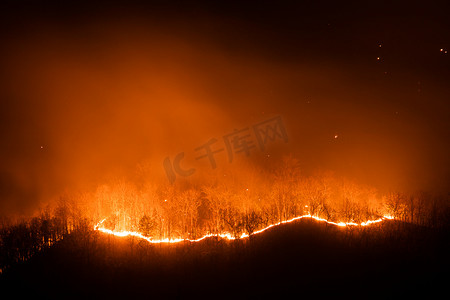 森林火灾在夜间燃烧树木。