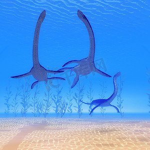 蛇颈龙爬行动物海底
