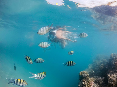 珊瑚鱼群摄影照片_女人与珊瑚鱼群一起浮潜，埃及红海