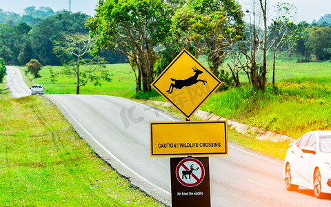 游客的汽车在黄色交通标志附近的柏油路上行驶时小心驾驶，鹿在标志内跳跃，并有警告野生动物穿越的信息。