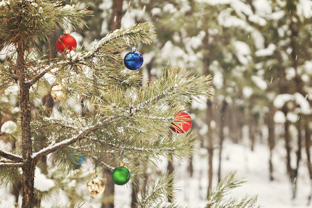 下雪效果摄影照片_在白雪皑皑的松林中装饰圣诞树，具有复古效果