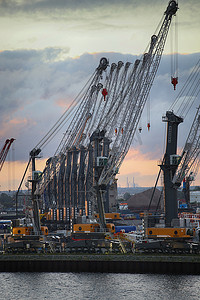 德国罗斯托克-2016 年 8 月 14 日：集装箱码头和起重机