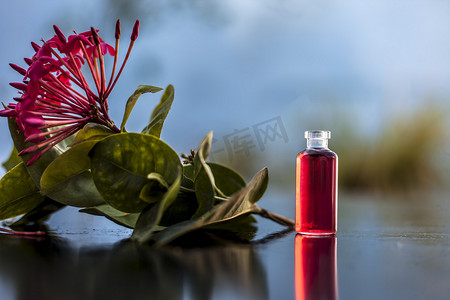 五角星闪摄影照片_木质表面的红色五角花或埃及星花或茉莉花，其在小透明玻璃瓶中提取的有益花香精或精油。
