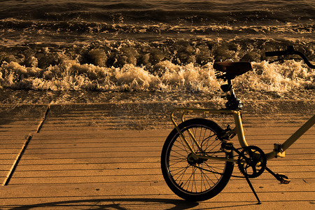棕褐色风格的海边自行车