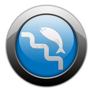 鱼步摄影照片_图标、按钮、象形图鱼梯