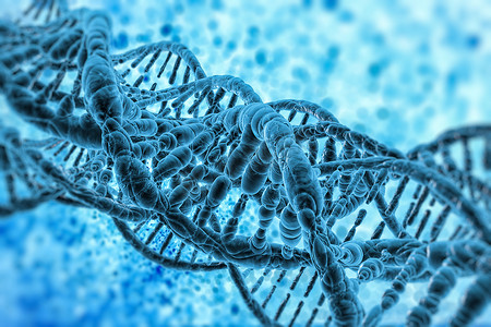 3d细胞模型摄影照片_DNA 结构模型研究概念，3D 渲染
