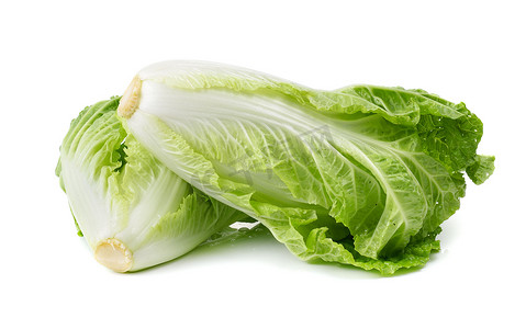 冰山摄影照片_白色背景中的新鲜大白菜