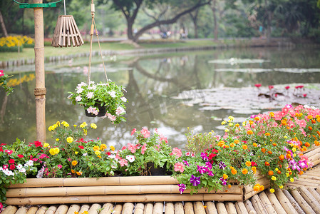 竹径摄影照片_粉色荷塘上有竹径的美丽花园