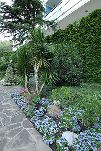 夏天保健摄影照片_保健中心大楼附近有小花、花坛和观赏植物的花坛