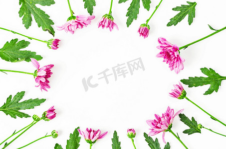 粉色文本框摄影照片_由菊花制成的美丽花框。