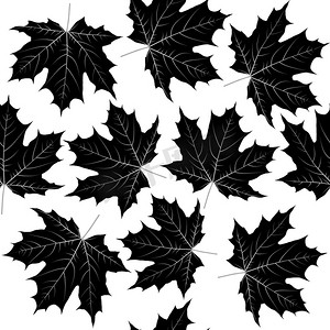枫树的叶子摄影照片_无缝模式与黑色的叶子