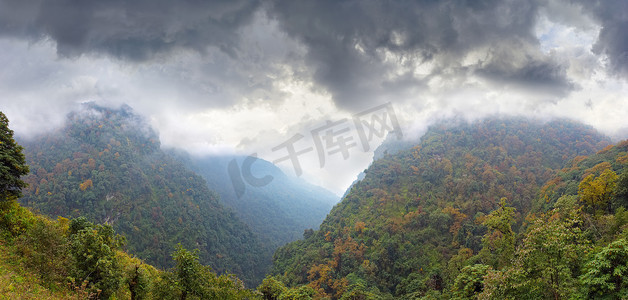 峡谷上空的暴风云，山坡上覆盖着森林