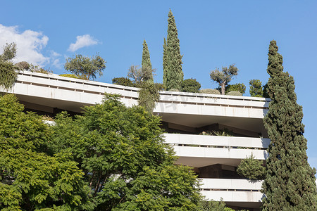 雅典的公寓楼 - 树木和植物