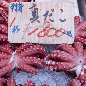日本东京筑地鱼市的红色活章鱼