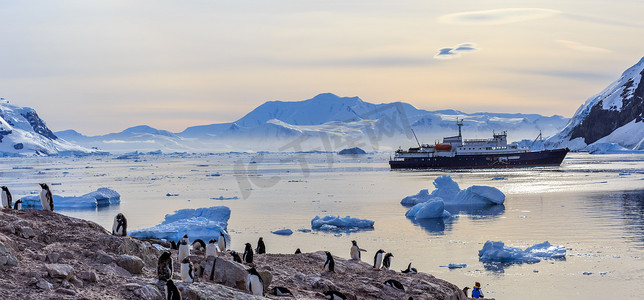 冰山摄影照片_在冰山和 Gentoo 企鹅 gathere 中的南极游轮